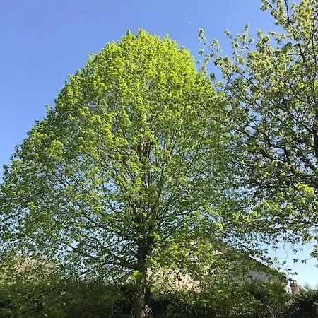 Authentique Maison Au Milieu De Son Grand Jardin 度假居