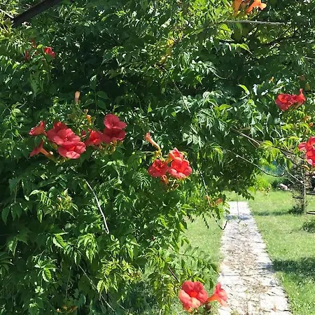 Authentique Maison Au Milieu De Son Grand Jardin Boursonne